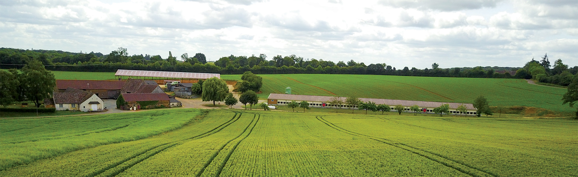 Un paysage d'une ferme vue de loin avec des champs verts autour.