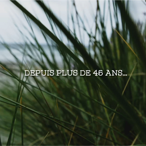 video domaine